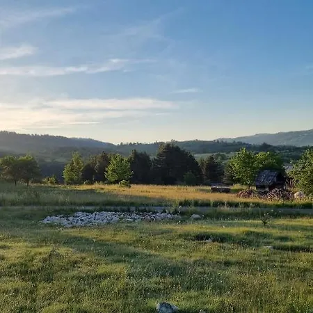 A Pine Vikendica U Srcu Zapadne Srbije Chalet *