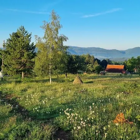 A Pine Vikendica U Srcu Zapadne Srbije Brvnara