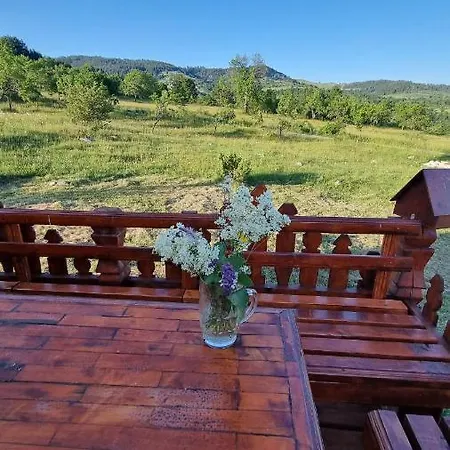 Chalet A Pine Vikendica U Srcu Zapadne Srbije Nova Varos