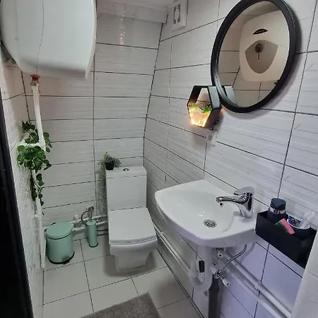 A Pine Vikendica U Srcu Zapadne Srbije Chalet *
