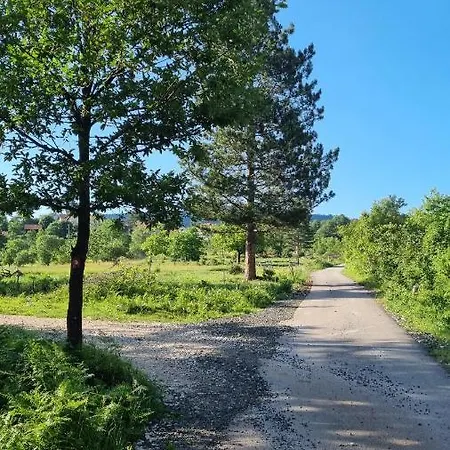 A Pine Vikendica U Srcu Zapadne Srbije Chalet Nova Varos