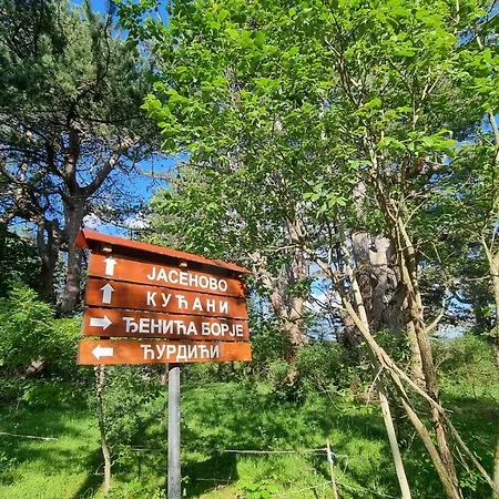 A Pine Vikendica U Srcu Zapadne Srbije Brvnara