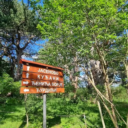 A Pine Vikendica U Srcu Zapadne Srbije Chalet