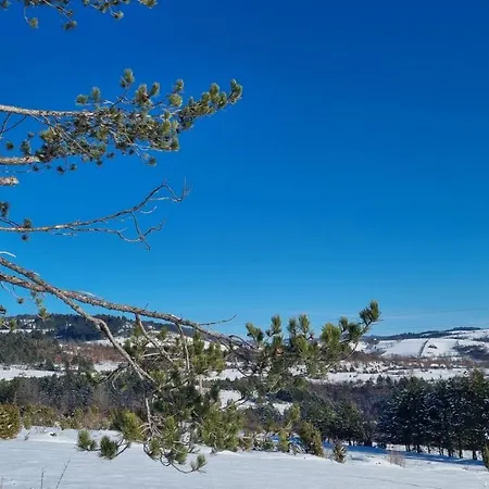 A Pine Vikendica U Srcu Zapadne Srbije Brvnara