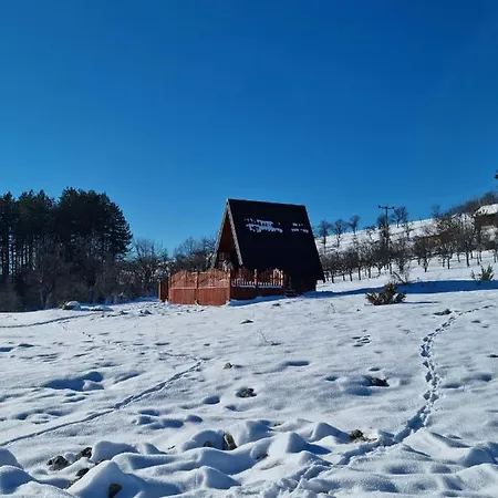 A Pine Vikendica U Srcu Zapadne Srbije Brvnara *