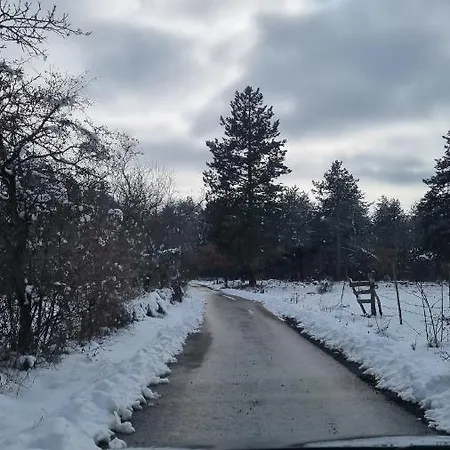 A Pine Vikendica U Srcu Zapadne Srbije * Nova Varos
