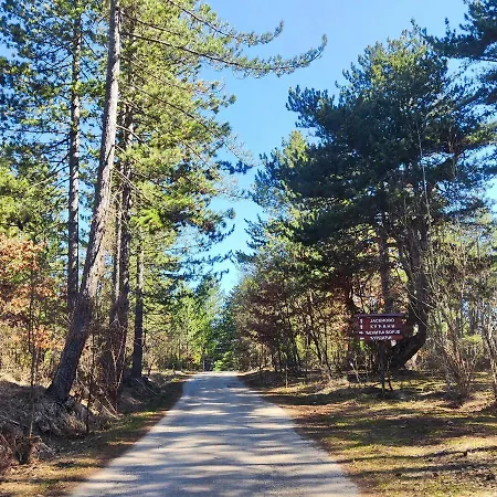 A Pine Vikendica U Srcu Zapadne Srbije *