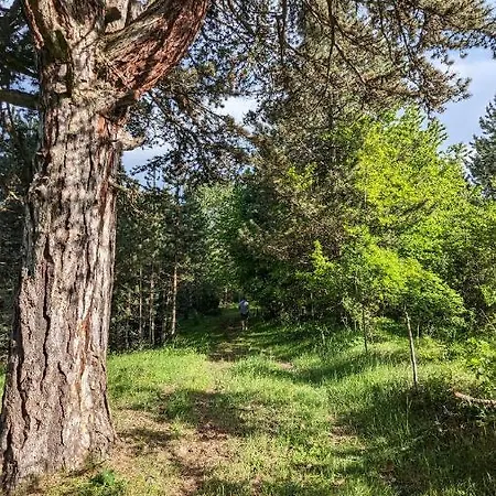 Brvnara A Pine Vikendica U Srcu Zapadne Srbije