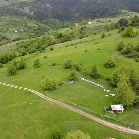 Brvnara A Pine Vikendica U Srcu Zapadne Srbije