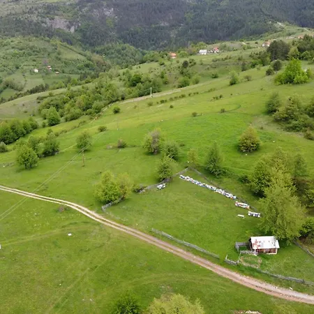 Chalet A Pine Vikendica U Srcu Zapadne Srbije