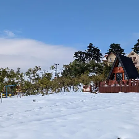 A Pine Vikendica U Srcu Zapadne Srbije Chaletu