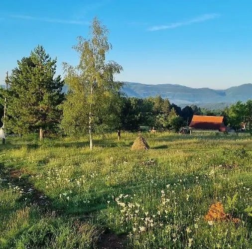 A Pine Vikendica U Srcu Zapadne Srbije 샬레