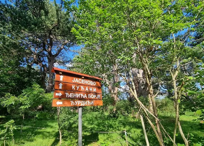 A Pine Vikendica U Srcu Zapadne Srbije 샬레