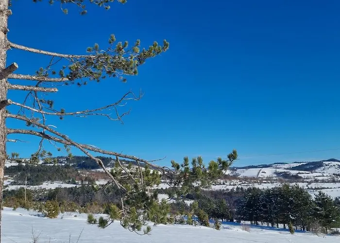 A Pine Vikendica U Srcu Zapadne Srbije 샬레