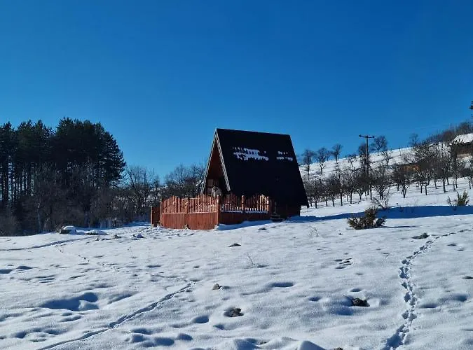 A Pine Vikendica U Srcu Zapadne Srbije 샬레 *