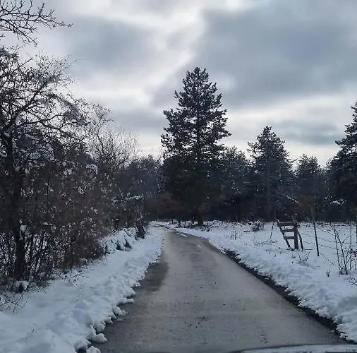 A Pine Vikendica U Srcu Zapadne Srbije * Nova Varoš