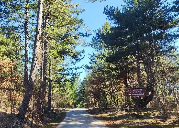 A Pine Vikendica U Srcu Zapadne Srbije *