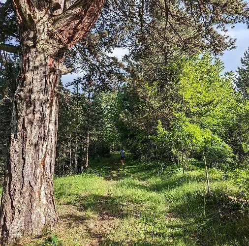 샬레 A Pine Vikendica U Srcu Zapadne Srbije