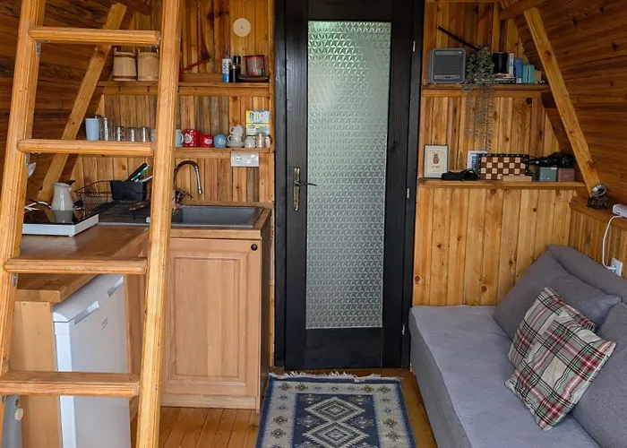 A Pine Vikendica U Srcu Zapadne Srbije 샬레 Nova Varoš