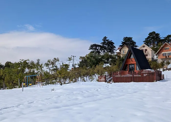 A Pine Vikendica U Srcu Zapadne Srbije 샬레